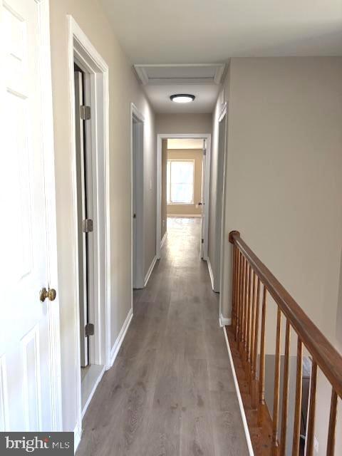 Building Photo - 1018 Willowleaf Way