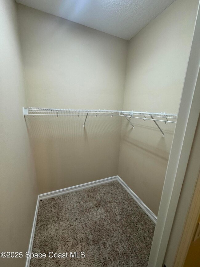 Building Photo - 3168 Lamanga Dr