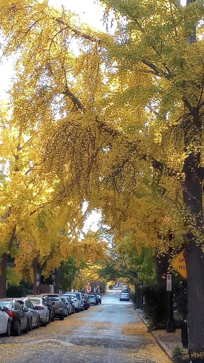 Building Photo - 1756 Corcoran St NW