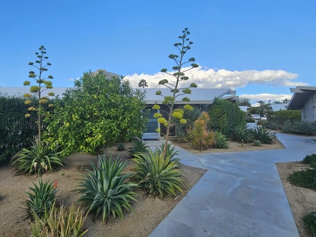 Building Photo - 37800 Da Vall Dr