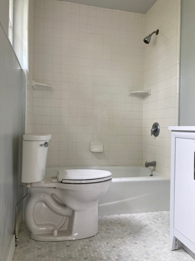 Bathroom tub and toiler - 110 E Hickory St