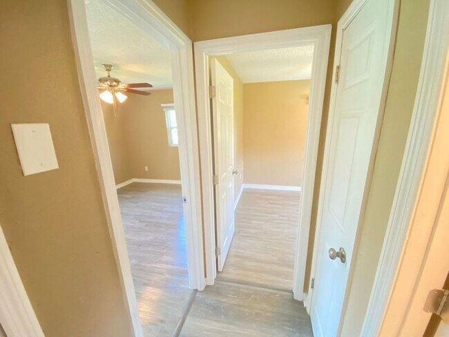Building Photo - 908 Teatro Ct