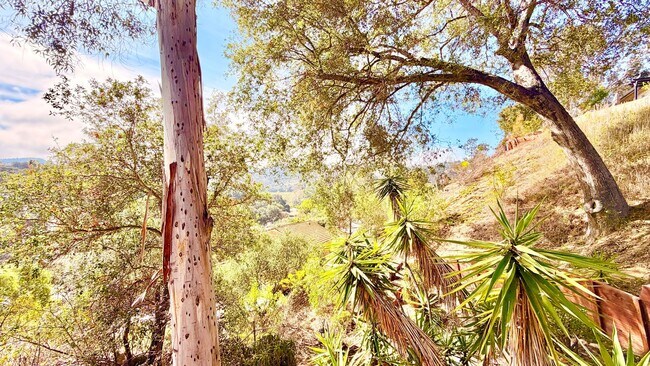 Building Photo - Lovely Country Setting Guest Home Unit on ...