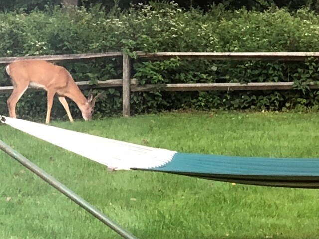 Building Photo - 286 Sharon Mountain Rd