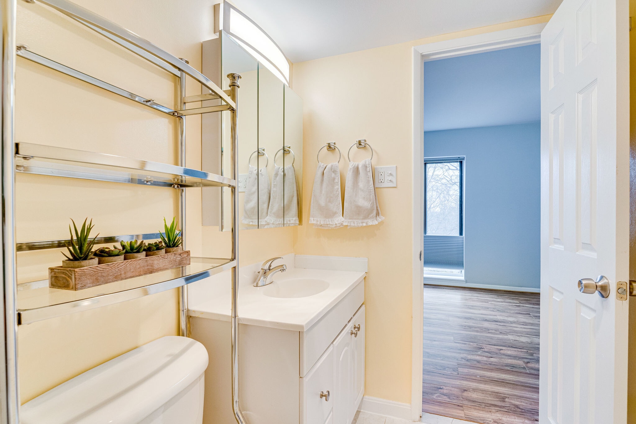 Master Bath - 6143 Leesburg Pike