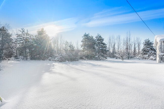 Building Photo - 10764 64th Ave