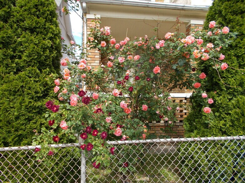 Building Photo - 306 Madison Ave