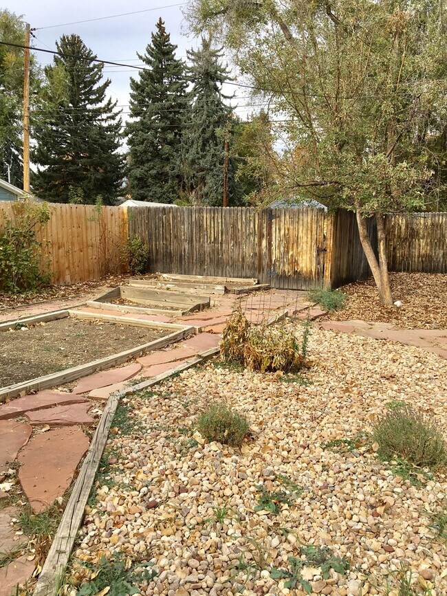 Building Photo - Sunny + Bright Near Sunset Park in Old Town Longmont!