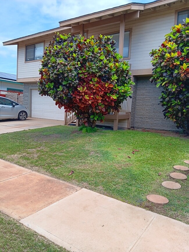 Primary Photo - 6 Alania Pl