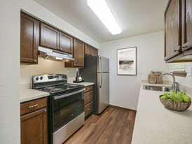 Premium with stainless steel appliances - Benson Village