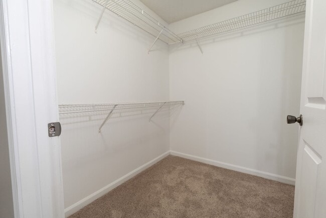 Building Photo - Beautiful Ocean Links Condo!