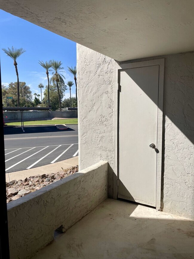 Building Photo - Stunning 1 Bedroom in the Heart of Biltmore