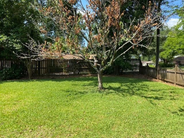 Building Photo - 2300 Aster Way