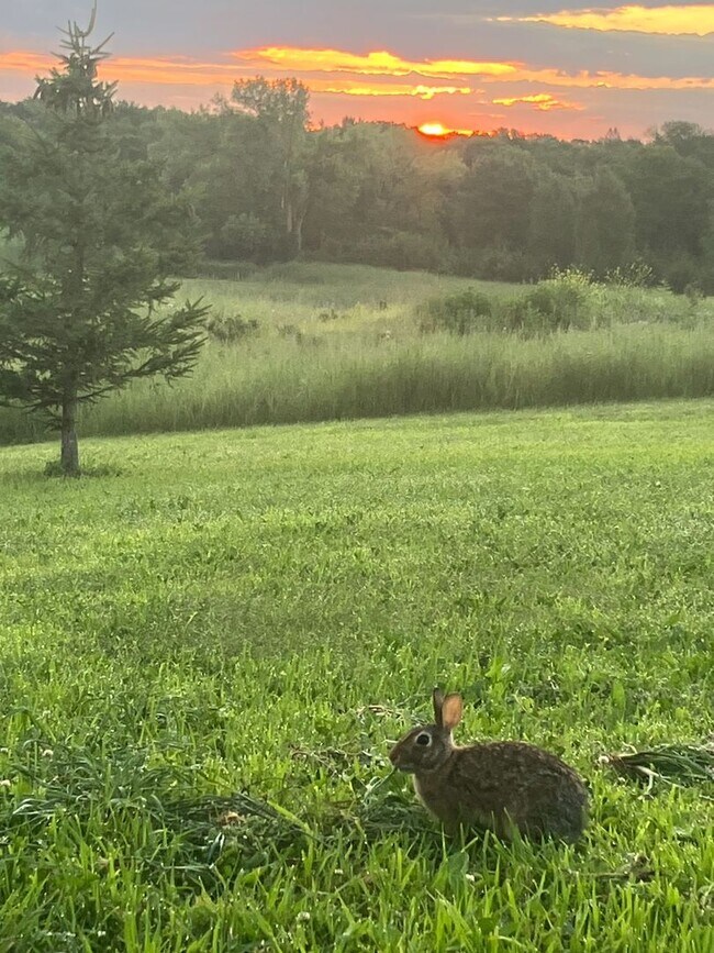 Building Photo - 220 Meadow Woods Dr