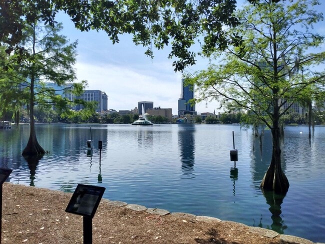 Building Photo - Bel Fontaine on Lake Eola