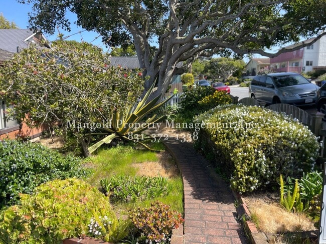 Building Photo - Spacious 3 Bed 2 Bath With Panoramic Ocean...