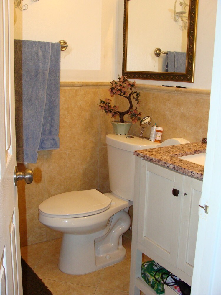 Building Photo - 2589 Dolphin Dr
