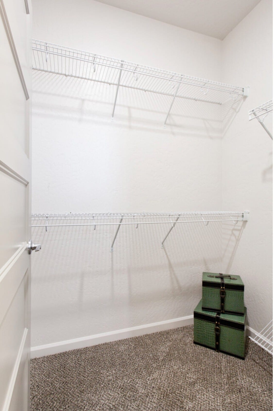 Building Photo - 42 Lopseed Ln