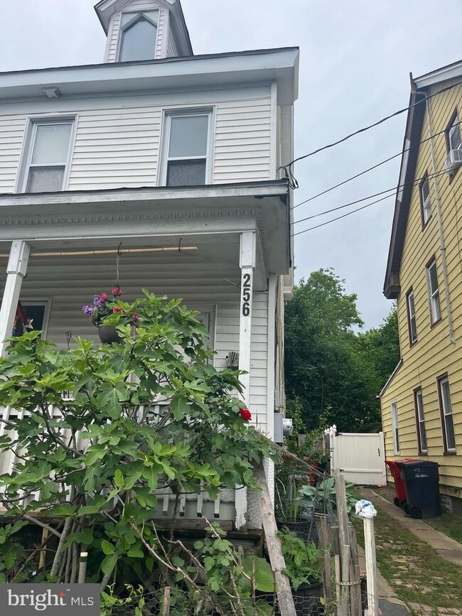 Primary Photo - 256 Walnut St