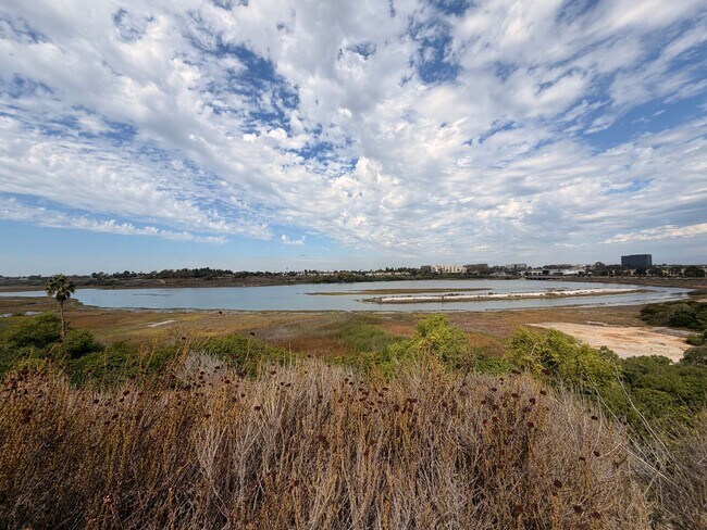 Building Photo - Beautiful 3 Bedroom, 2.5 Bathroom Newport ...