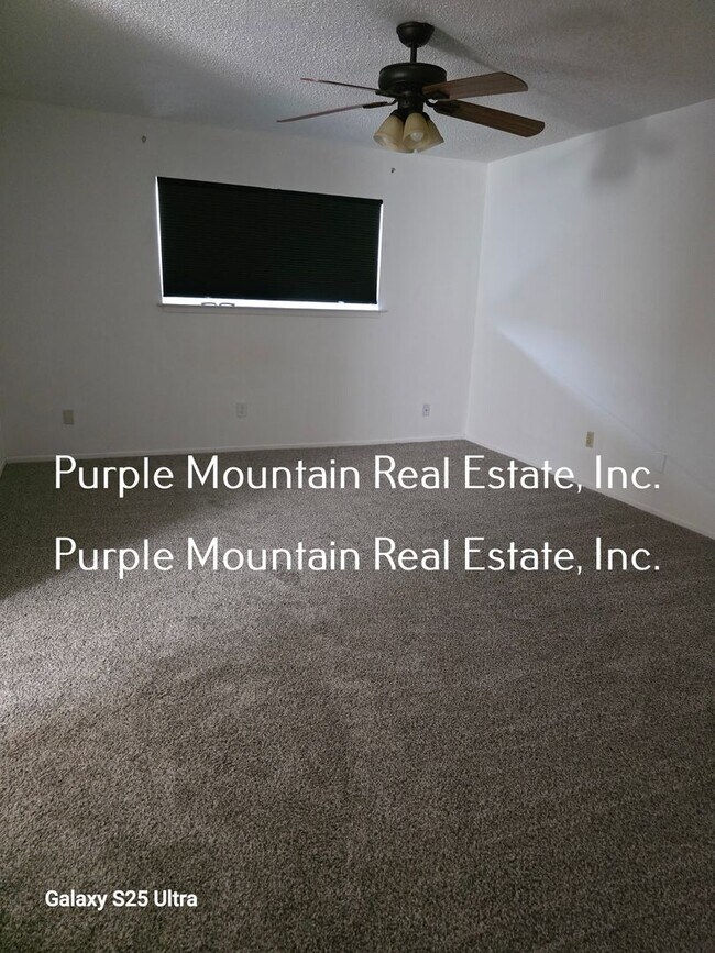 Building Photo - 2019 Evelyn St