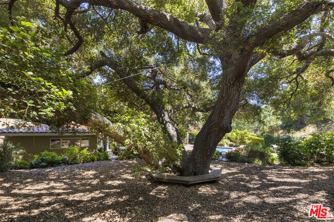 Building Photo - 3265 Mandeville Canyon Rd