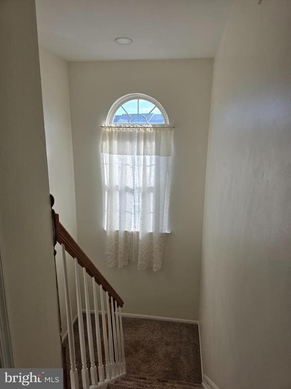 Building Photo - 529 Schooner Way