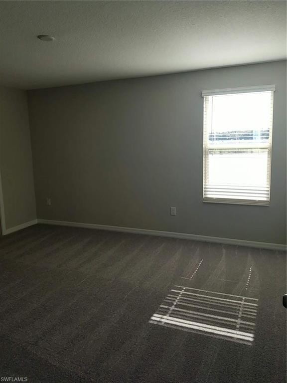Building Photo - 5010 White Chicory Dr