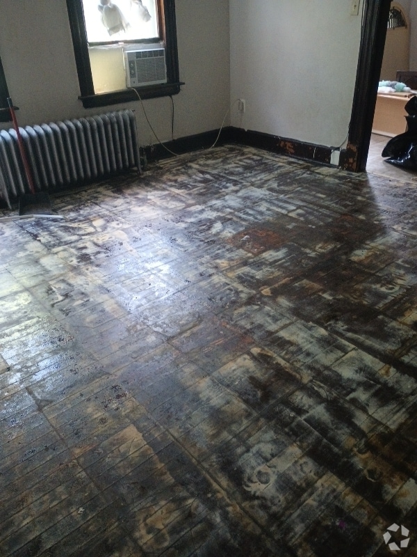 Building Photo - 33 Elmwood Ave