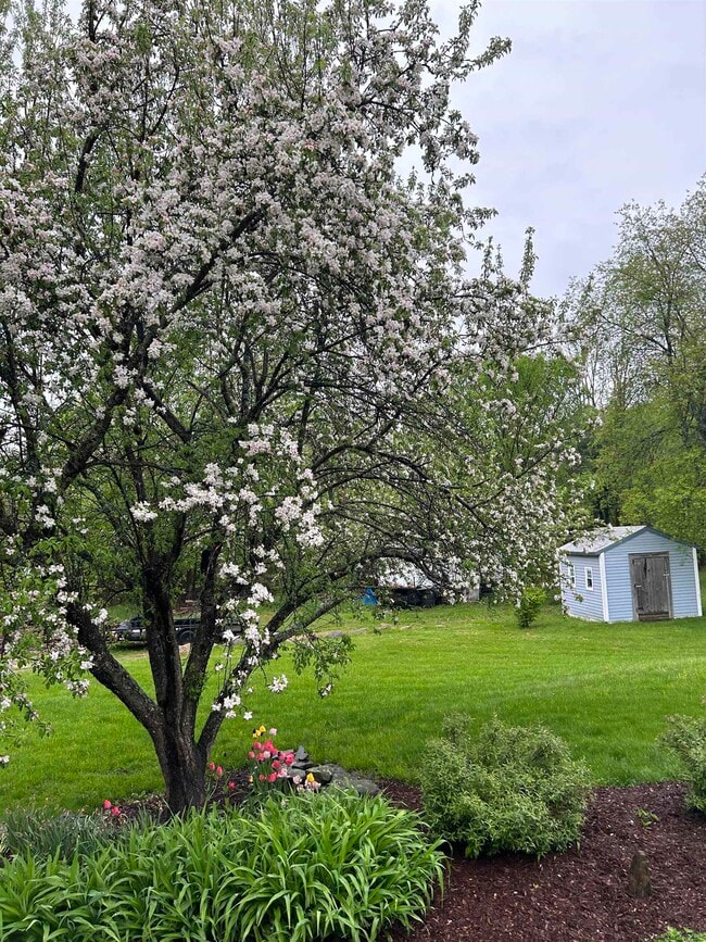 Building Photo - 293 Bear Hill Rd