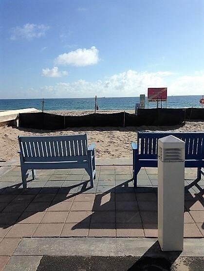 Building Photo - 232 Hibiscus Ave