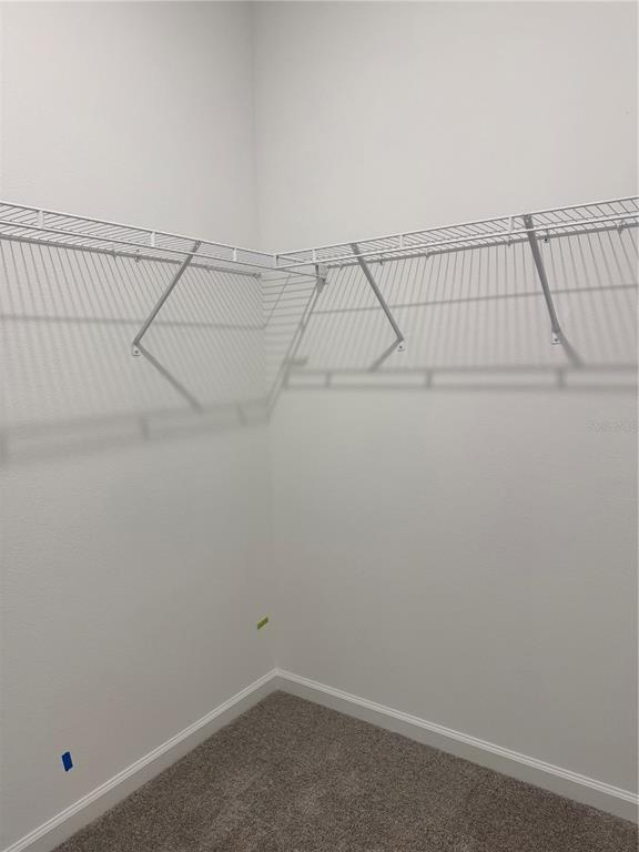 Building Photo - 788 Sunshower Dr