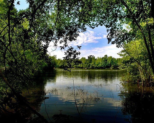 Pond - Lakeside