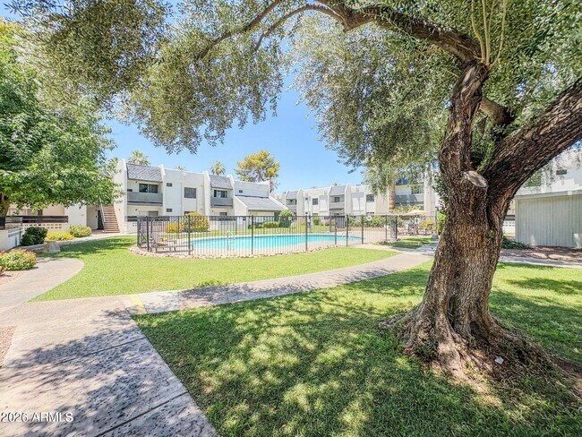 Building Photo - Nice studio apartment in Phoenix!