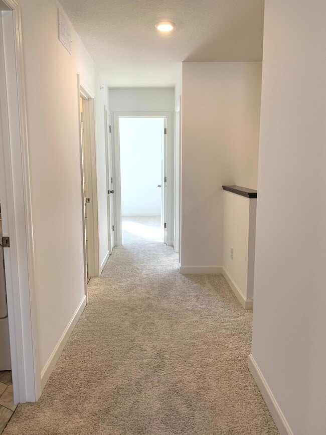 Building Photo - 1914 Prospect Ln