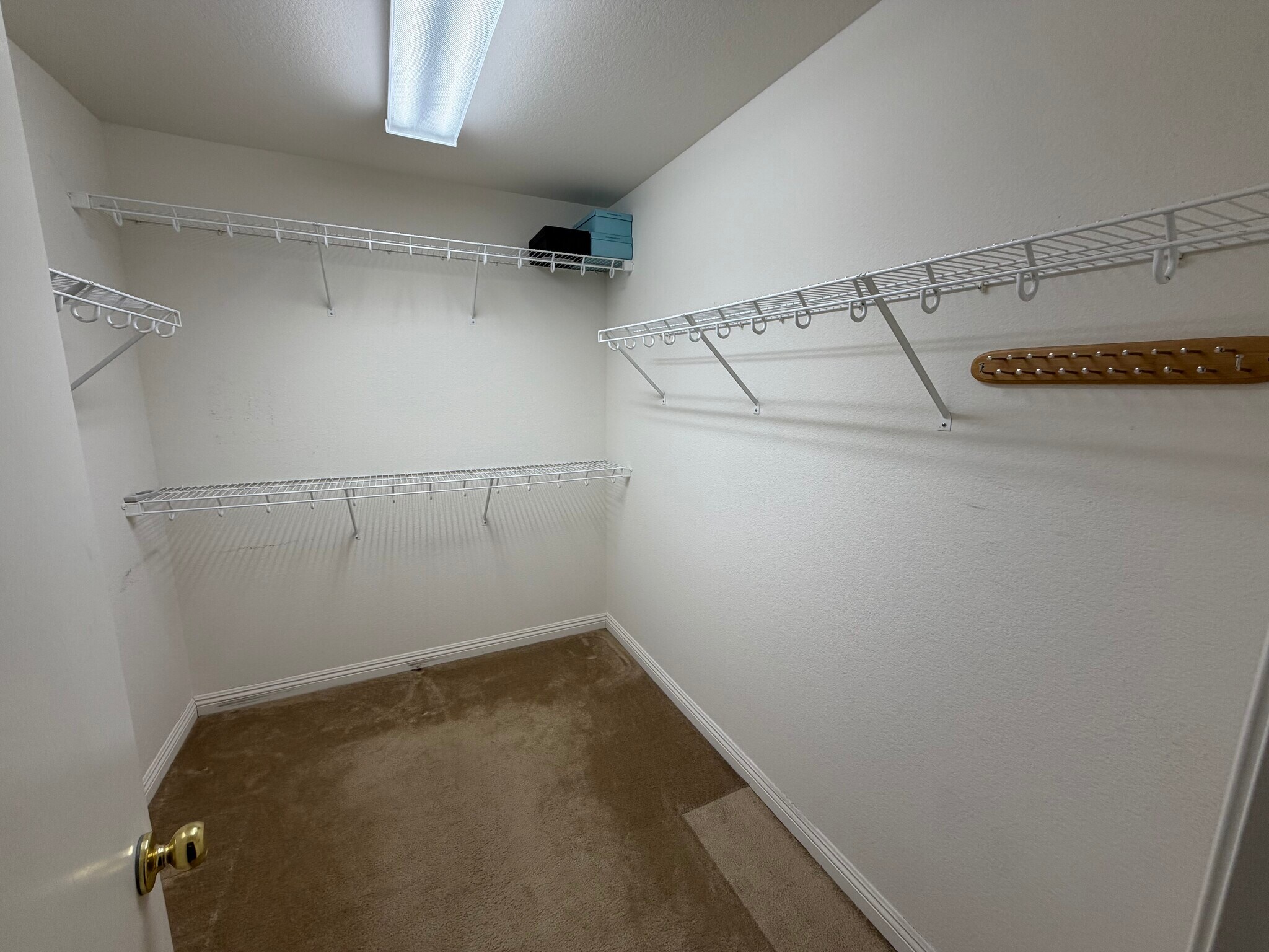 Building Photo - 11617 Royal Derwent Dr