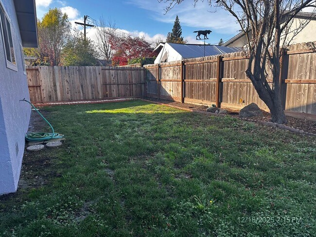 Building Photo - 4 Bedroom Bel Aire Home