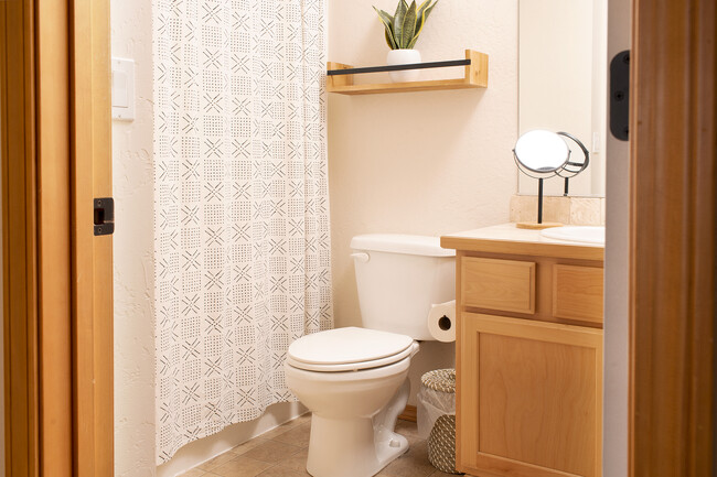 Hall Bathroom - Full Shower / Tub with dual head and handle - New floor - 2805 W Dumont Dr