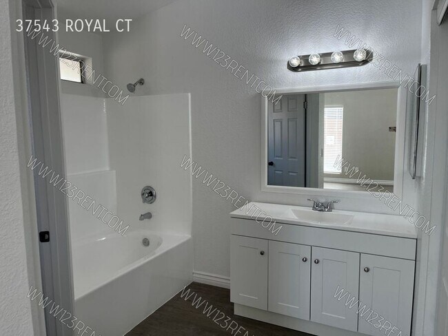 Building Photo - 37543 Royal Ct