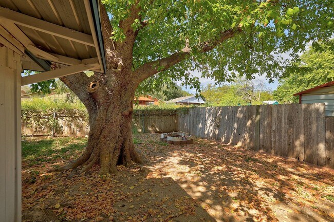 Building Photo - Spacious 3/2 home in South Austin