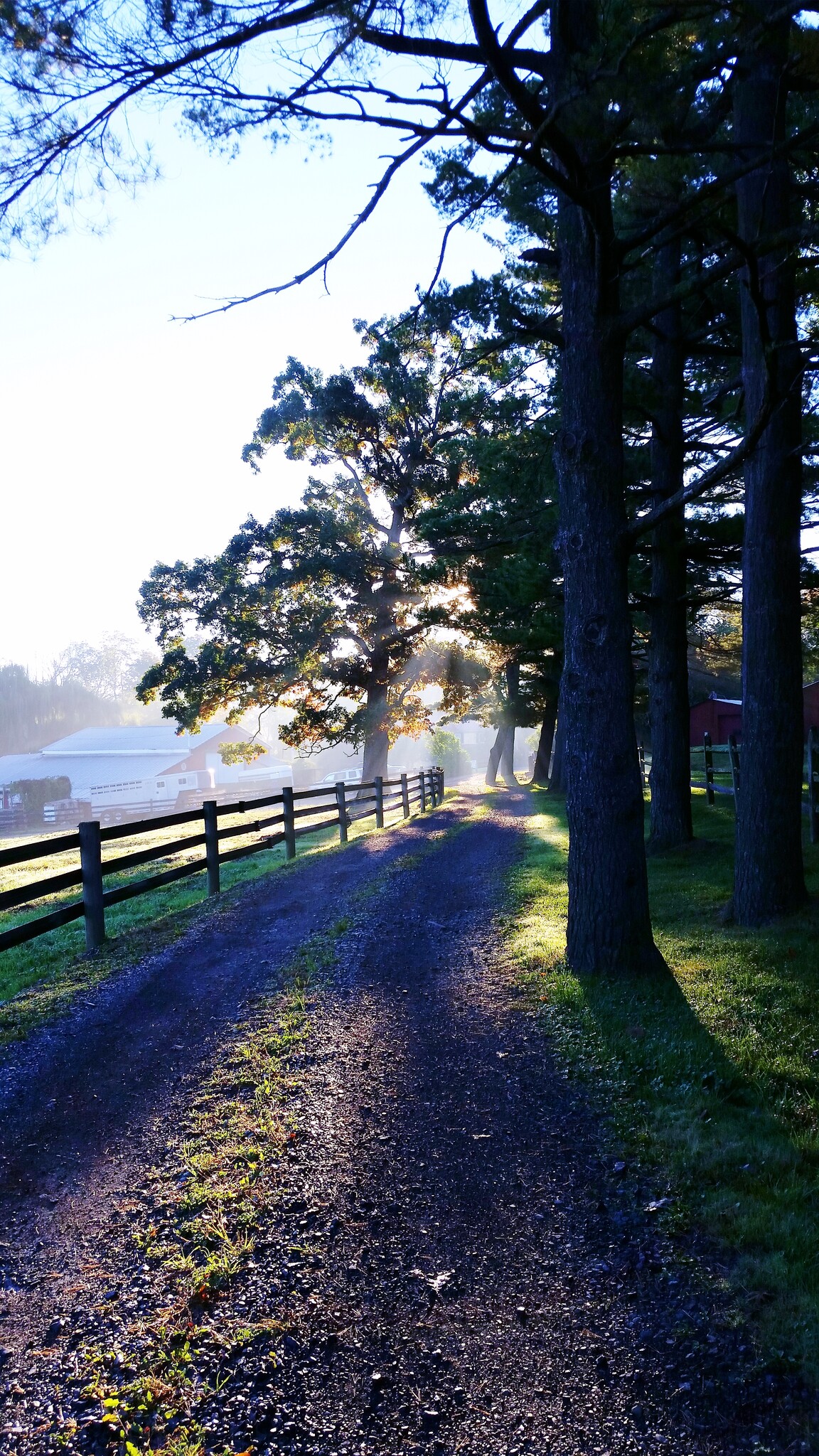 Building Photo - 1310 Hollow Rd