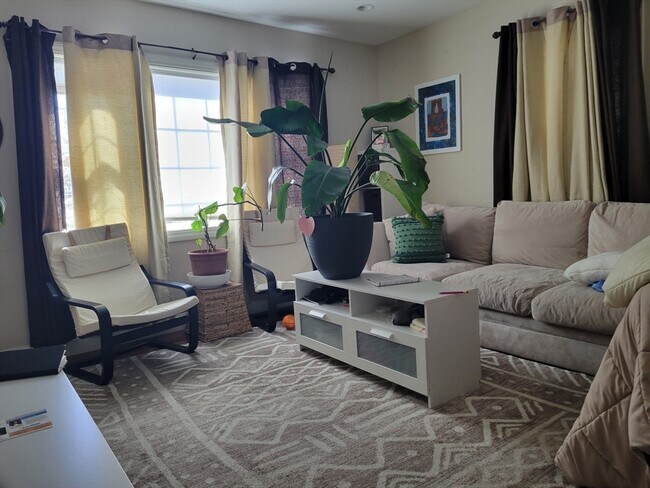 Building Photo - 20 Symonds St