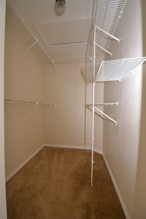 Building Photo - Cute 3 BR/2 BR Home  ~ Community Pool ~ Fe...