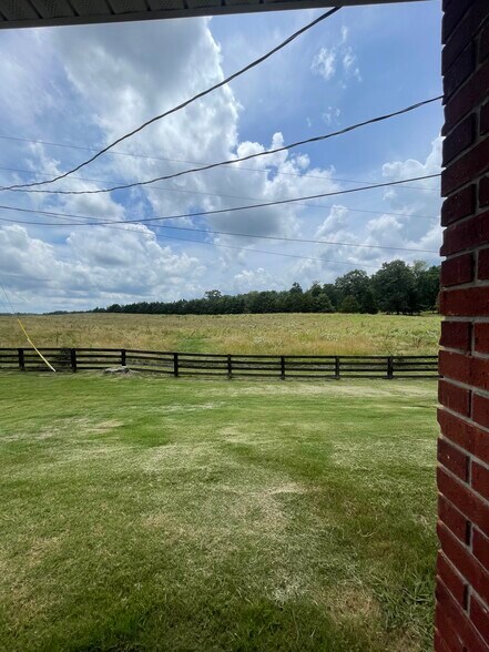 View from back porch - 5191 County Road 73