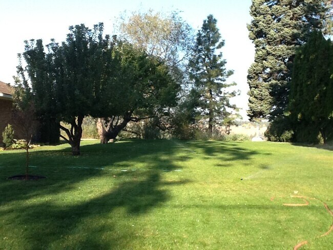 Building Photo - Audubon Area 3 Bedroom 2 Bath Brick Rancher with Spokane River Views