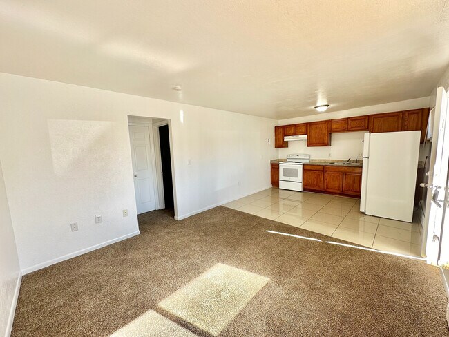 Bright, open-concept living area with modern kitchen, cozy carpeted space, and plenty of natural light. - Sunnyside Terrace