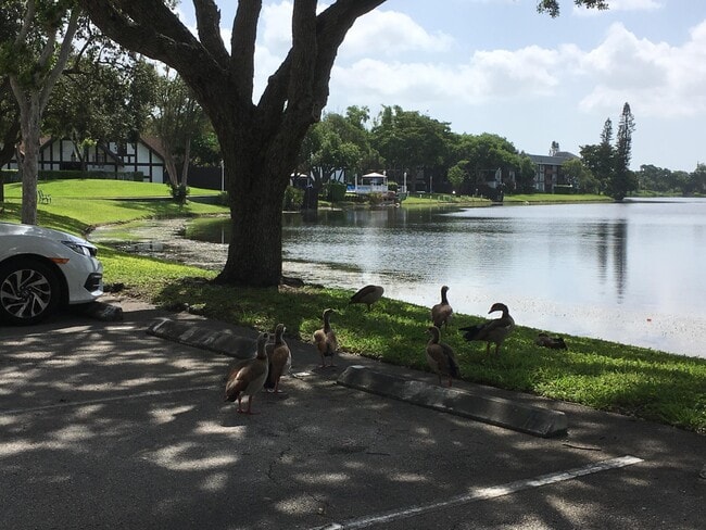 Building Photo - 3720 Inverrary Dr