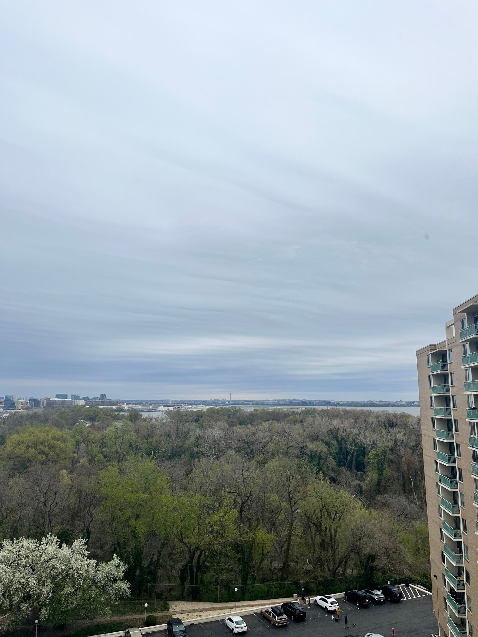 view from unit 1013 living room window - 501 Slaters Ln