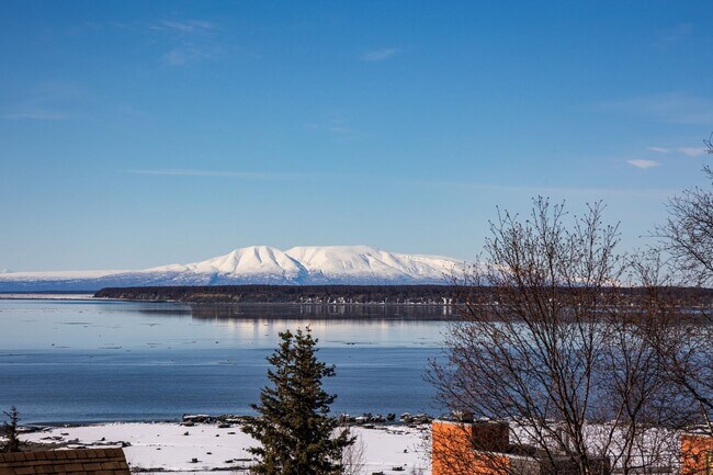 Building Photo - Downtown Anchorage Two Bedroom Two Bath wi...
