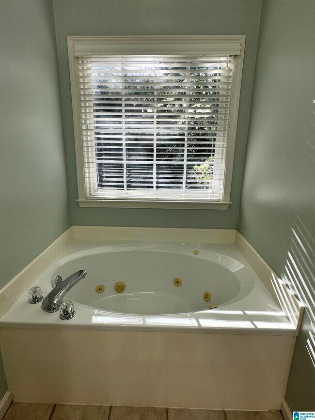 Building Photo - 525 Hackberry Ridge Cove